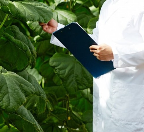 Excellent Technical Ability